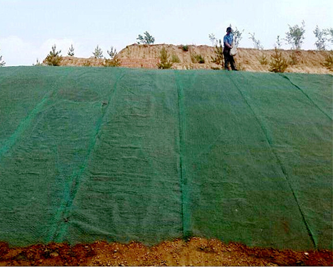 �c(di��n)���鿴Ԕ��(x��)��Ϣ��(bi��o)�}�����Sֲ���W(w��ng)ʩ�� ��x�Δ�(sh��)��2221